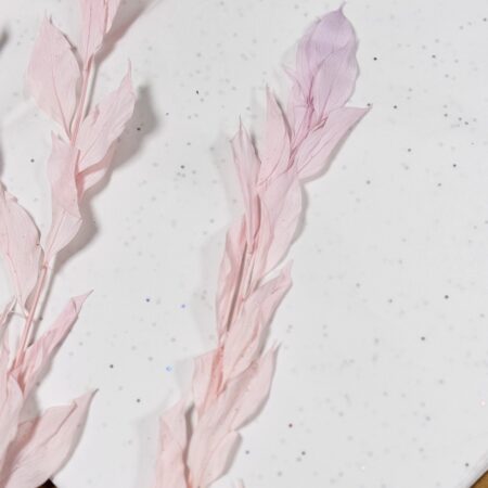 ruscus lila/baby pink