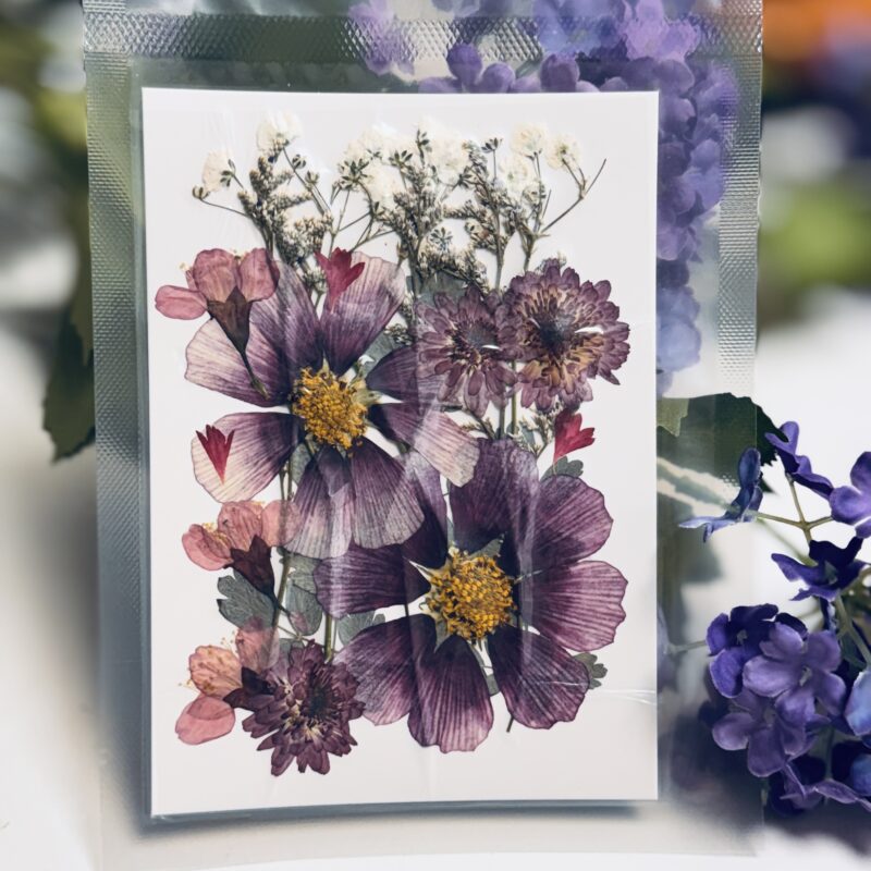 Mix Geperst Gedroogde Bloemen Paars 20st - Afbeelding 2