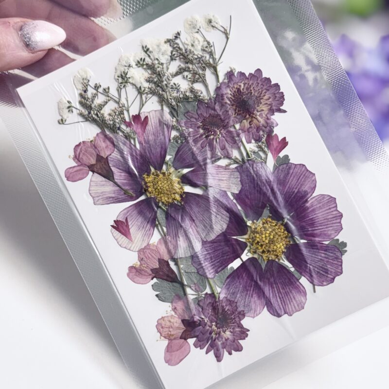 Mix Geperst Gedroogde Bloemen Paars 20st