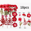 Mix Geperst Gedroogde Bloemen Rood 18st - Afbeelding 2