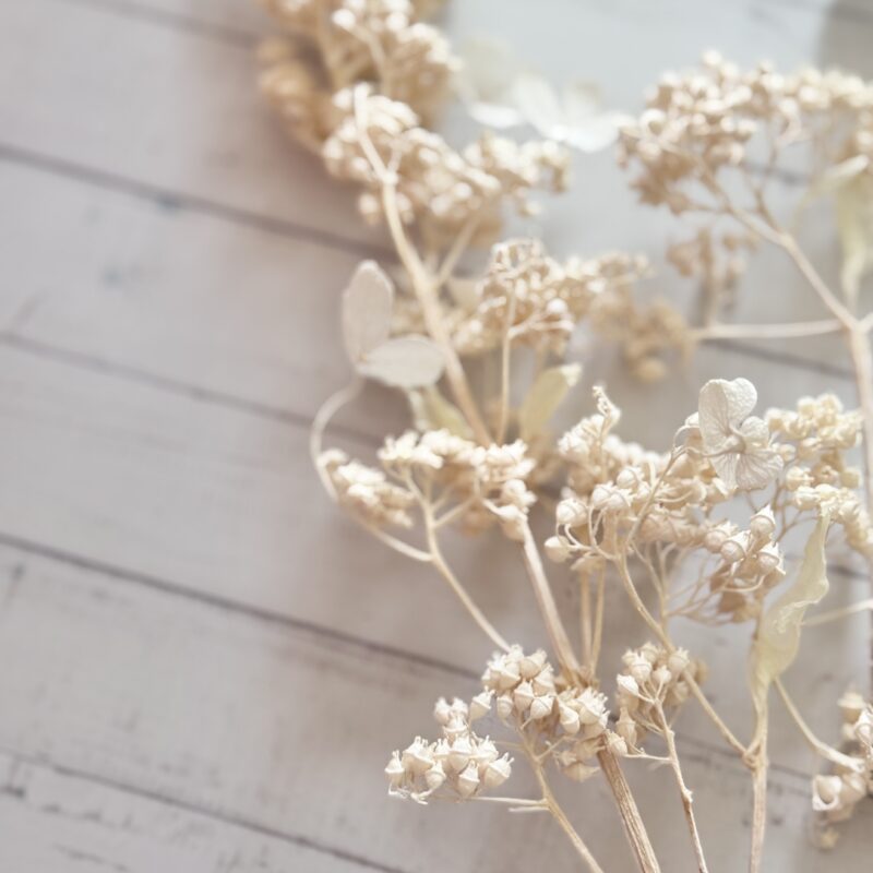 Pink Beige 081 – Gedroogde Bloem op Steel (1 stuk)