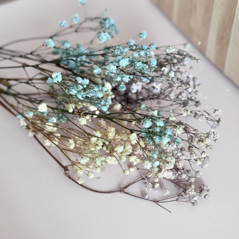 Geconserveerde gypsophila - 1 klein bos gipskruid- Regenboog kleuren - Afbeelding 3
