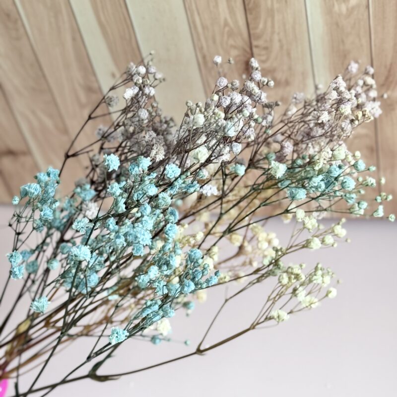 Geconserveerde gypsophila - 1 klein bos gipskruid- Regenboog kleuren - Afbeelding 2