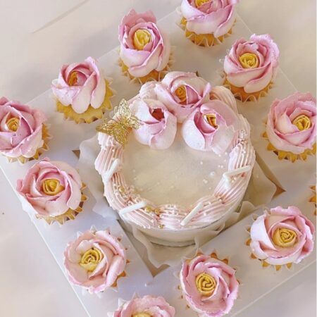 bento cake doos set
