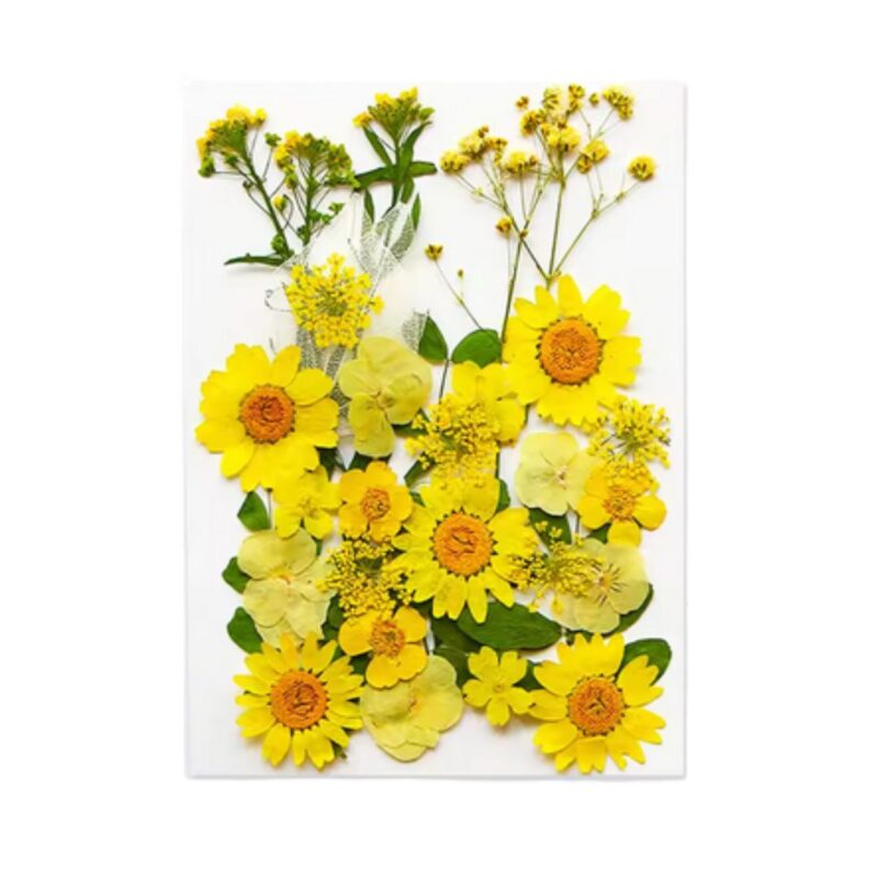 Mix Geperst Gedroogde Bloemen Geel set