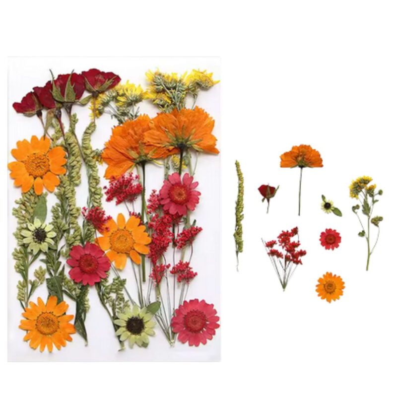 Mix Geperst Gedroogde Bloemen Oranje Set