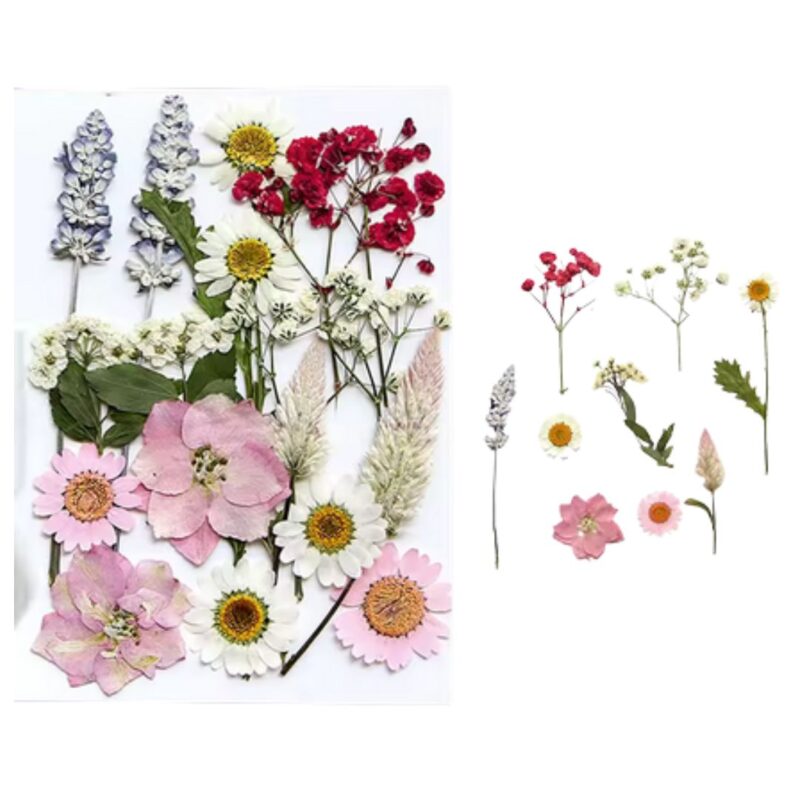 Mix Geperst Gedroogde Bloemen Beauty Pink Set