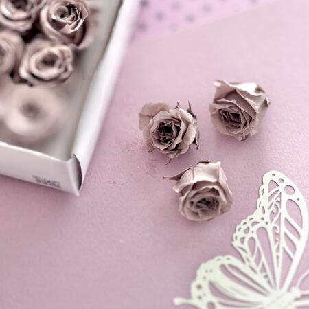 Preserved roses Klein Latte