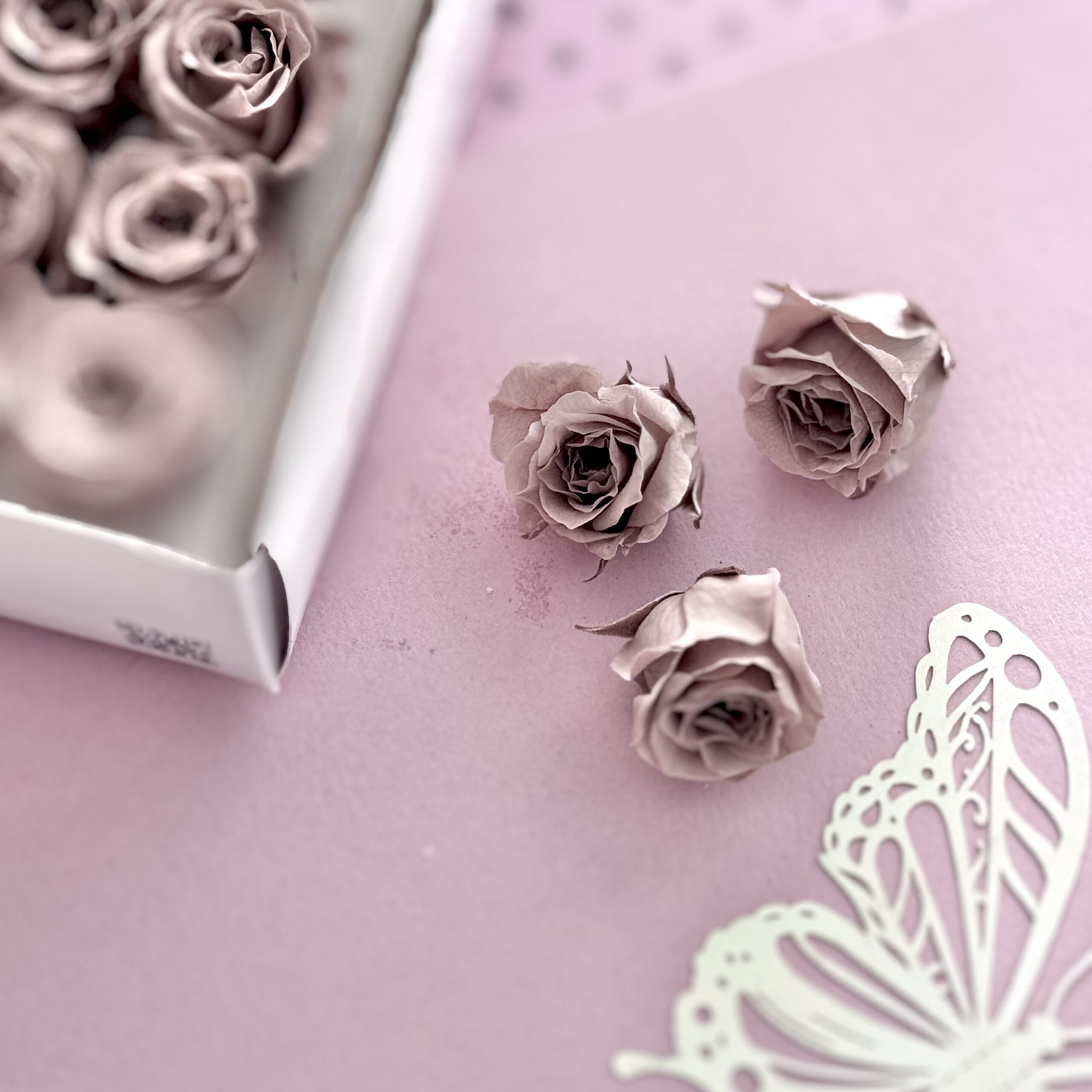 Preserved roses Klein Latte