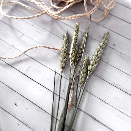 Gedroogde Tarwe – Natural Colour | Dried Wheat Decoratie (bos van 5 stuks)