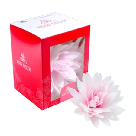 Pioenaster roze ombre