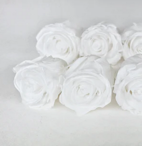 Preserved Roos Kiara Super – Pure White | Gestabiliseerde Roos (Ø 5–5,6 cm)
