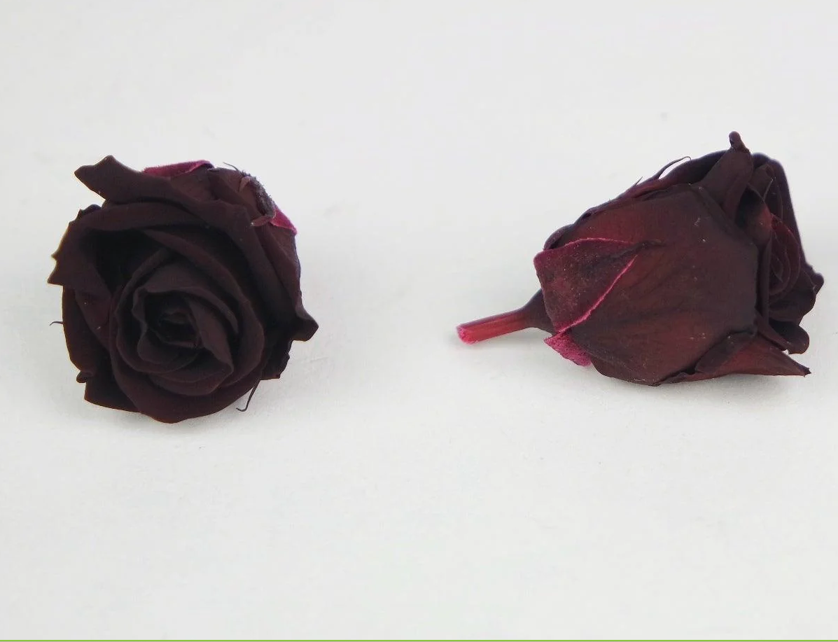 Preserved roses Kiara Klein - Burgundy - Afbeelding 3