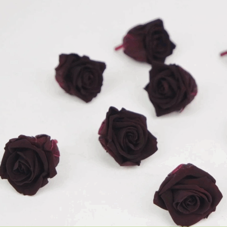 Preserved roses Kiara Klein - Burgundy