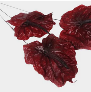 Preserved anthurium Earth matters Wine red 471 - Afbeelding 2