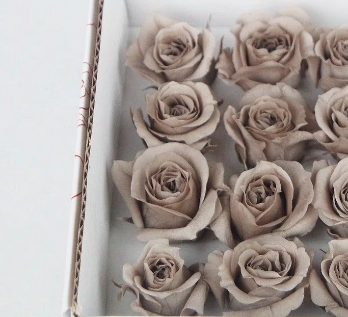 Preserved roses Klein Latte - Afbeelding 2