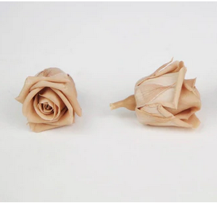 Preserved roses Kiara 2 cm