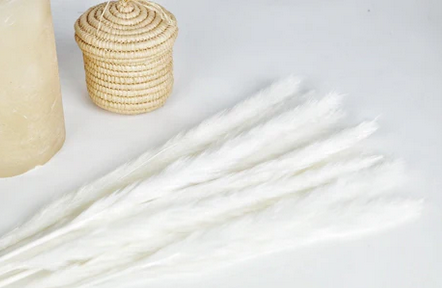 Mini pampas graas wit