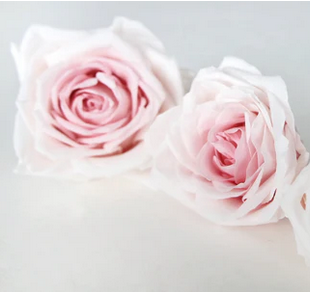 Preserved Roos XL Avalanche Earth Matters - Champagne pink 131