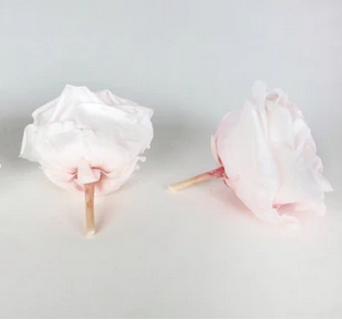 Preserved Roos XL Avalanche Earth Matters - Champagne pink 131 - Afbeelding 3